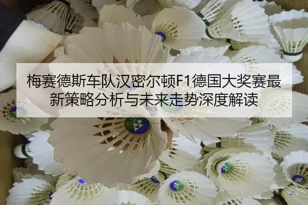 梅赛德斯车队汉密尔顿F1德国大奖赛最新策略分析与未来走势深度解读